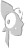 Indice Gravure de dragodinde dans le décor