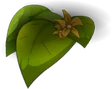 Indice Kaliptus à fleurs jaunes dans le décor