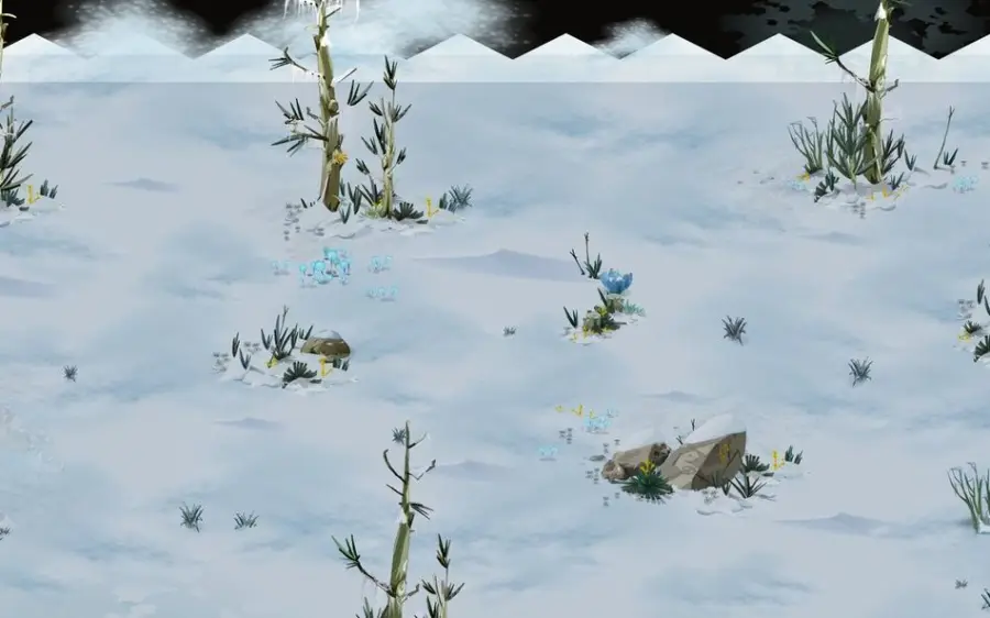 Planter les graines du sud, en [-60,-62] (Forêt des pins perdus)