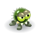 Araknawa Insistante