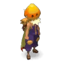 Chef du village