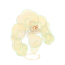 Portrait de Crapeur