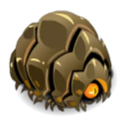 Portrait de Cycloporth