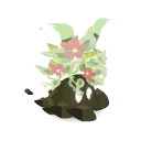 Germe de Dremoan