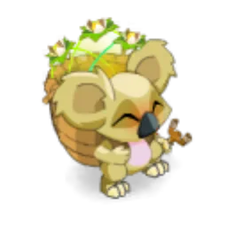 Portrait de Koalak Coco