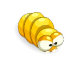 Larve Dorée