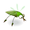 Portrait de Minoskito
