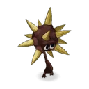 Shokipik
