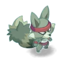 Tanuki mort de fatigue