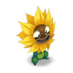 Portrait de Tournesol Sauvage