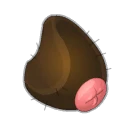 Icône de Croupion de Tofuzmo