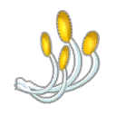 Icône d'Étamine de Floribonde