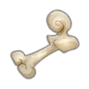 Icône de Fémur de Koalak Farouche