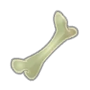 Icône de Fémur de Sphincter Cell