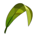 Icône de Feuille de Maminala