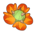 Icône de Fleur de Cactiflore