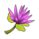 Icône de Fleur de Kaliptus