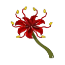Icône de Fleur de lys araknawa