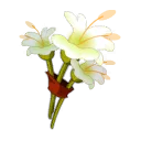 Icône de Fleur des Marais