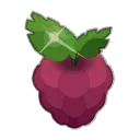 Icône de Framboise