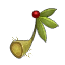 Icône de Ginseng