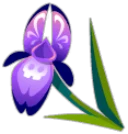 Icône d'Iris d'Os