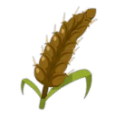 Icône de Malt