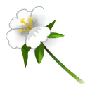 Icône de Muguet Ridon