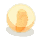 Icône d'Œuf de larve