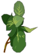 Icône de Plantes Enchantées