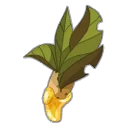 Icône de Pousse de Plante Hygrade
