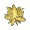 Icône de Rose des sables de Saharach
