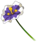 Icône de Rose Nelson