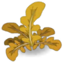 Icône de Sang de Dragon