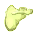 Icône de Scapula de Ben le Ripate