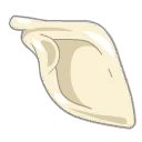 Icône de Scapula du Comte Harebourg