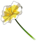 Icône de Tulipe Ossucion