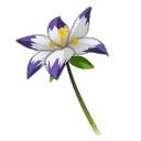Icône de Yucca Lélé
